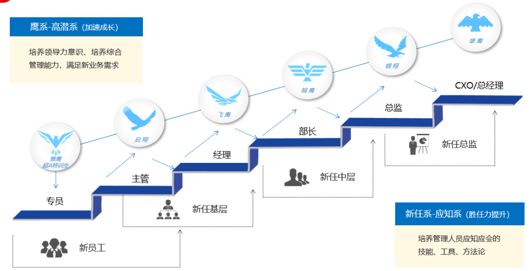 TCL实业人才培养体系“一干两翼”