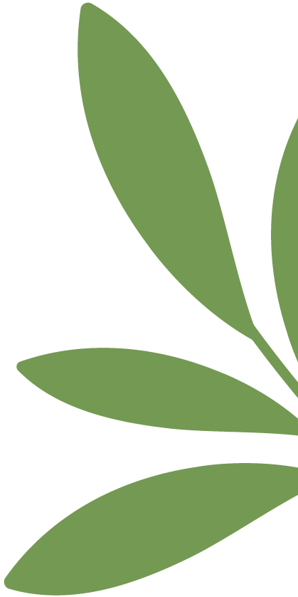 【家园社共育联盟】守护“瞳”真——把科学护眼搬进幼儿园-幼师课件网第10张图片