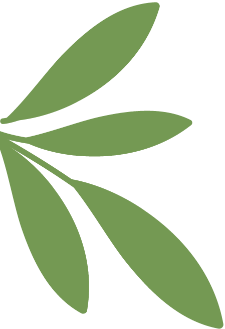 【家园社共育联盟】守护“瞳”真——把科学护眼搬进幼儿园-幼师课件网第9张图片