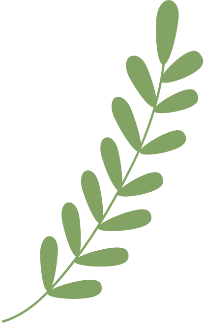 【家园社共育联盟】守护“瞳”真——把科学护眼搬进幼儿园-幼师课件网第3张图片