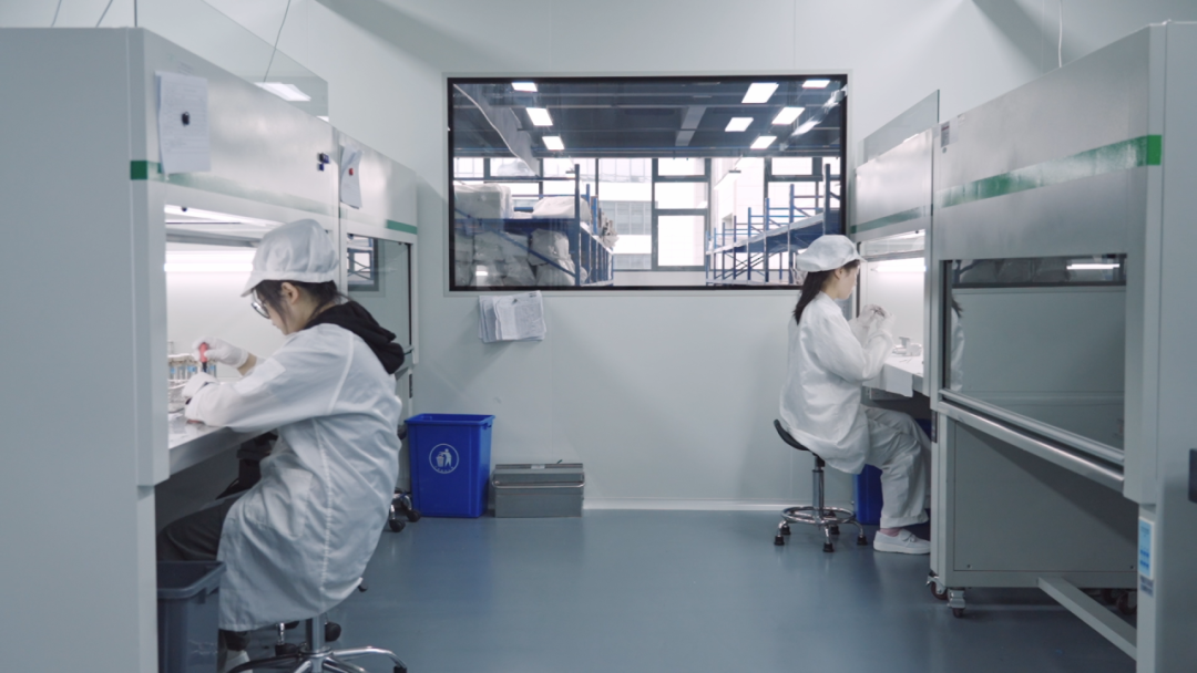 驚濤之中謀遠(yuǎn)略，雙循環(huán)中開新局