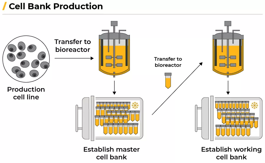 制药 | GSK借助仿真技术更快地为患者提供关键药物的图2