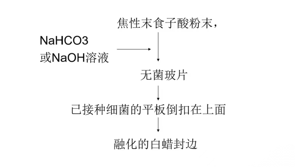 厌氧培养别再“踩雷