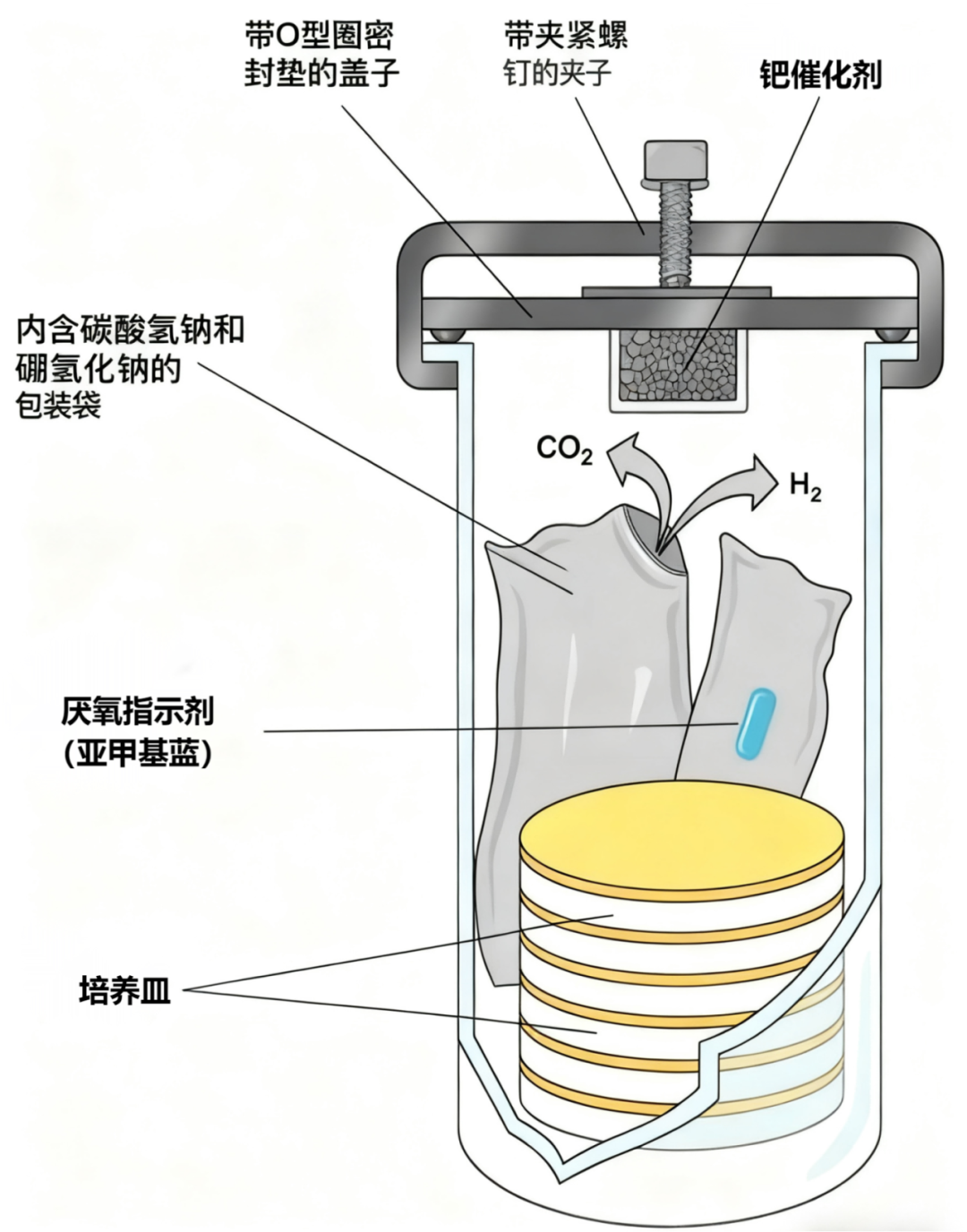 厌氧培养别再“踩雷