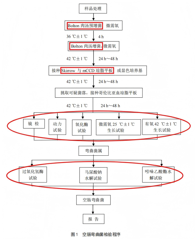新舊對比：詳解GB 4789.9-2025空彎/結彎檢驗新國標的核心變化