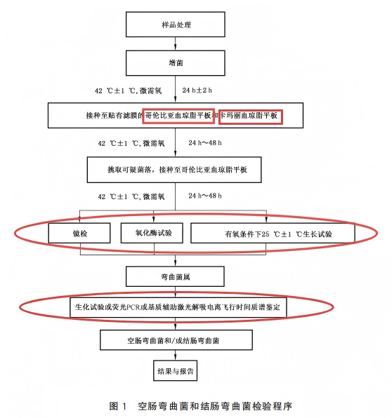 新舊對比：詳解GB 4789.9-2025空彎/結彎檢驗新國標的核心變化