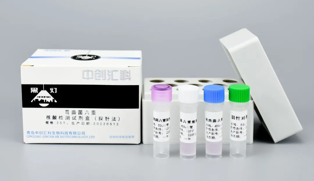 聚焦GB 4789.9-2025彎曲菌檢驗：關鍵步驟操作要點與高效解決方案