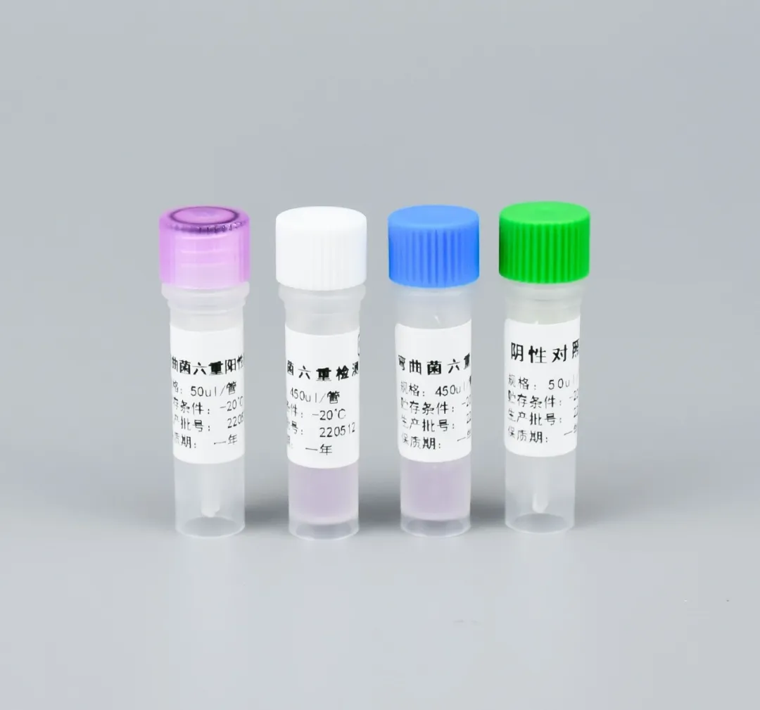 聚焦GB 4789.9-2025彎曲菌檢驗：關鍵步驟操作要點與高效解決方案