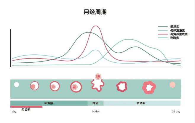 成年人性生活最舒服的三个技巧，值得一试！ - 3