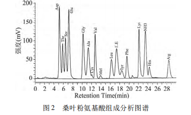 桑叶粉：被忽视的天然补钙宝藏？含量超牛奶14倍！