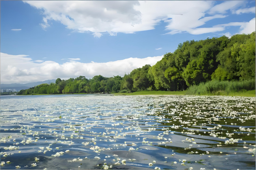 守护水质清澈，连华科技从未缺席！