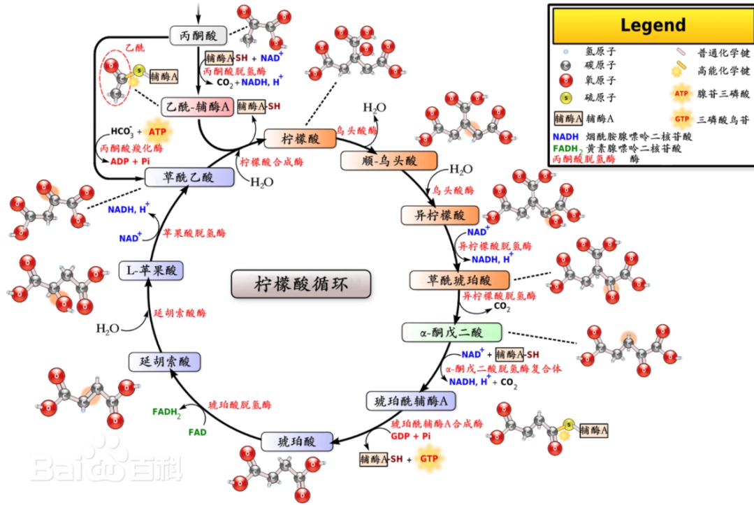 贾玲近照曝光 没有复胖