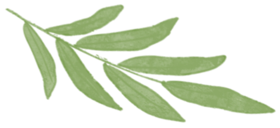 【七乐教师】看见教师  看懂孩子——第八期“春苗计划”项目学员巡课活动-幼师课件网第2张图片