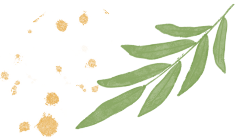 【七乐教师】看见教师  看懂孩子——第八期“春苗计划”项目学员巡课活动-幼师课件网第4张图片