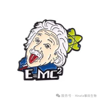 图片22.png