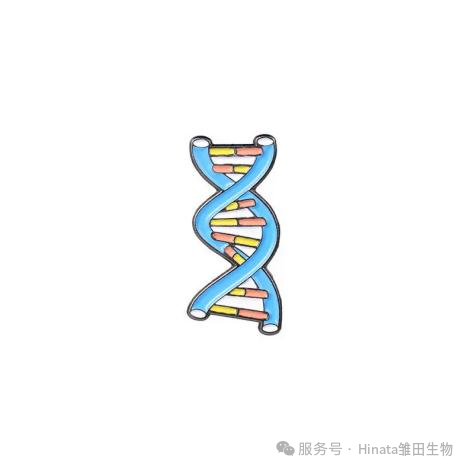 图片24.png