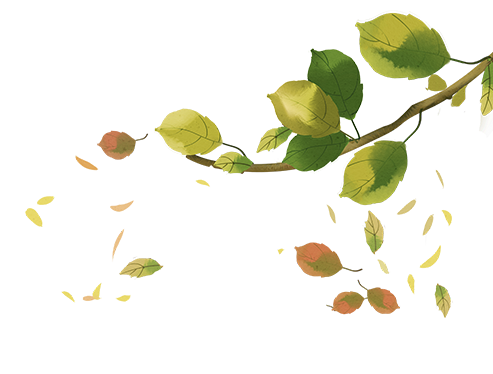 文化底色，科学未来，以文润稚，格物育萌｜浦南教育集团第四届暨浦南幼儿园文化周活动特刊-幼师课件网第40张图片