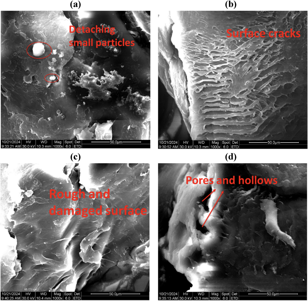 扫描电镜在塑料回收处理中的应用