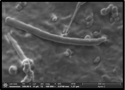 扫描电镜在塑料回收处理中的应用