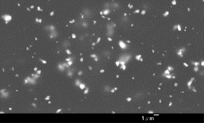 原位看见真相—Starter Kit液体样品盒揭示抛光液中磨料的真实状态