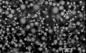 原位看见真相—Starter Kit液体样品盒揭示抛光液中磨料的真实状态