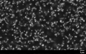 原位看见真相—Starter Kit液体样品盒揭示抛光液中磨料的真实状态