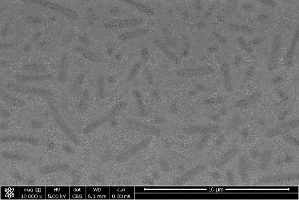 原位看见真相—Starter Kit液体样品盒揭示抛光液中磨料的真实状态
