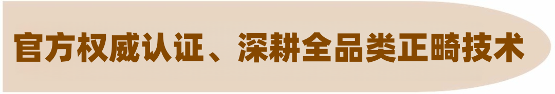 慈恩名人堂 | 陈颖：深耕美学正畸，用千例矫治雕琢自信笑颜