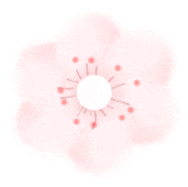 ͼƬ