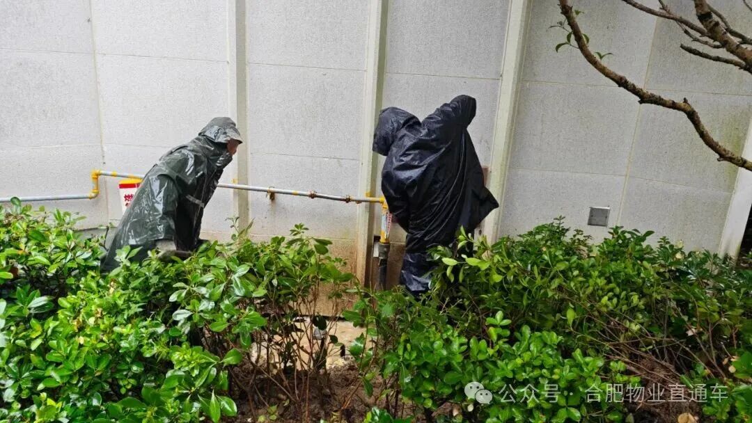 冒雨抢修管道 张雨洁·图.jpg