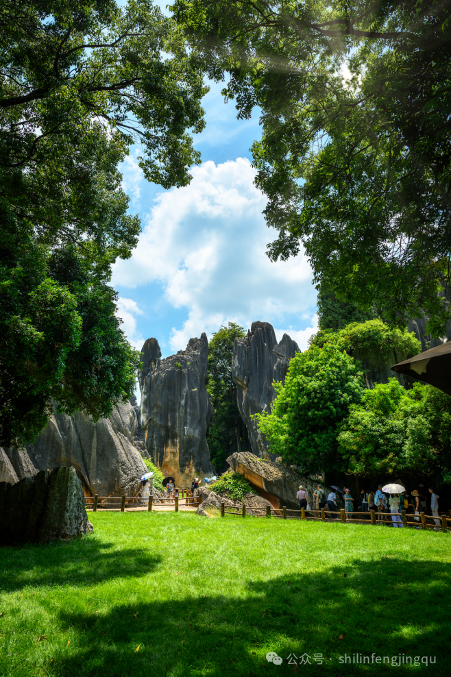 截屏2025-08-05 15.46.34.png