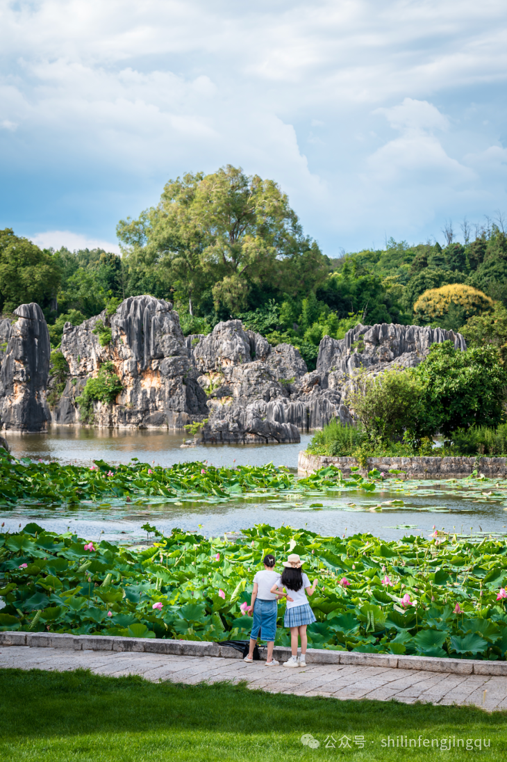 截屏2025-08-05 15.26.02.png