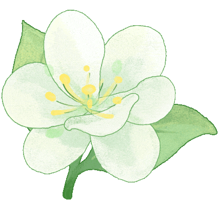 优惠规则调整，坐动车全体享受折上折！