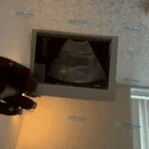 代母日常 (7).gif