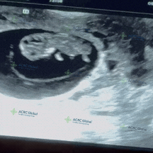 下周一放假[CryCoveringMouth] (3).gif