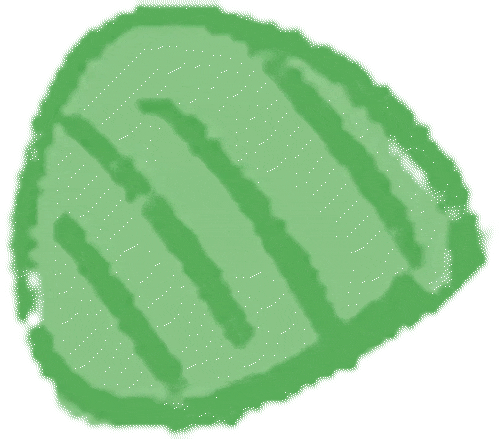 ͼƬ