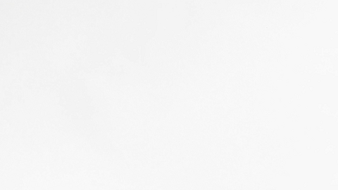 2-卜天寿《论语·郑玄注》202549937123.gif