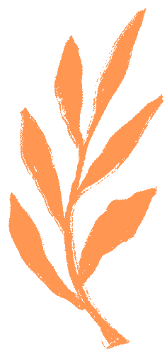 佑创怎么用勇毅前行担使命 守正创新佑安康 ——中山六院粤西医院2025年发展回顾与展望_https://www.jmylbn.com_新闻资讯_第5张