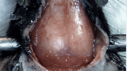 技術實操丨從“開窗