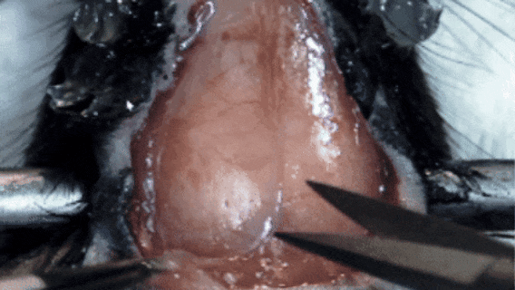 技術實操丨從“開窗