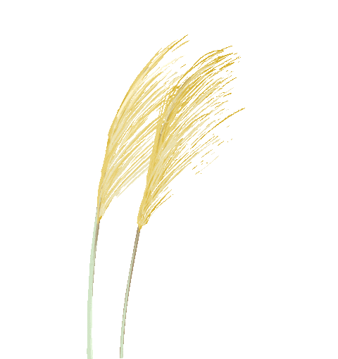 气相分析数据不准？埃癸斯流路组件：用精度筑牢结果 “可信防线