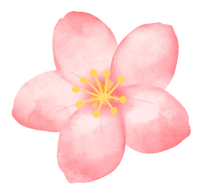 昆明公共文化云