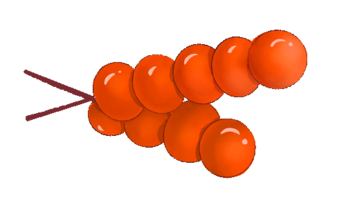 【豆逗?通知】市实幼集团2026年元旦放假通知及温馨提示-幼师课件网第14张图片