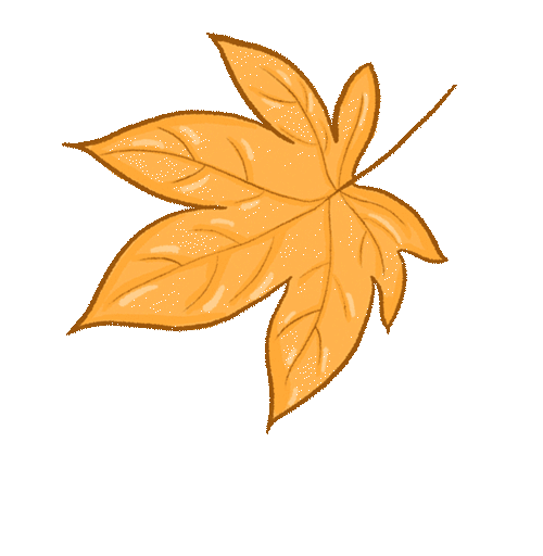 美好“食”光| 温四幼营养食谱 （第十六周）-幼师课件网第5张图片