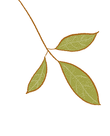 美好“食”光| 温四幼营养食谱 （第十六周）-幼师课件网第11张图片