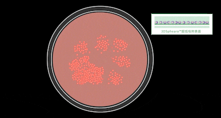 洁特生物细胞培养耗材大盘点！