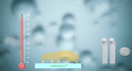 洁特生物细胞培养耗材大盘点！