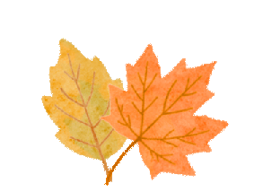 拾秋而行，把快乐藏进秋天里 | 温四幼宝宝亲子园秋游活动-幼师课件网第20张图片