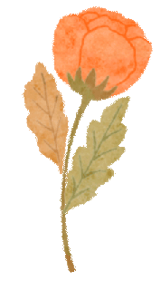 拾秋而行，把快乐藏进秋天里 | 温四幼宝宝亲子园秋游活动-幼师课件网第16张图片