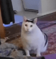 磁疗产品怎么试手抖？僵硬？试试给大脑做个“磁疗SPA”！_https://www.jmylbn.com_新闻资讯_第3张